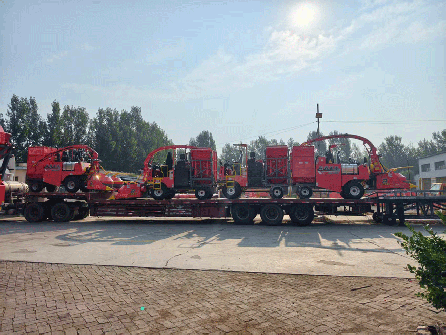 Bereit zur Auslieferung: Senrui 4QZ-2000C Silagehäcksler wird vollständig montiert versandt – steigert die Effizienz für Viehbetriebe!